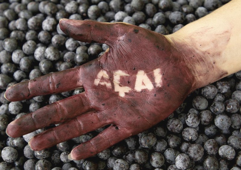 Is Acai berry the cure-all miracle?