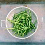 Plant proteins may help you live longer